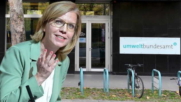 Umweltministerin Leonore Gewessler (Bild: Krone KREATIV/APA / Roland Schlager)