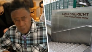 Dem 50-jährigen gelernten Sozialpädagogen wird im Wiener Landl der Prozess gemacht. (Bild: Krone KREATIV/Zwefo, APA/GEORG HOCHMUTH, Krone KREATIV)