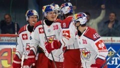 Die Eisbullen wollen auch gegen Asiago jubeln. (Bild: Tröster Andreas/Kronen Zeitung)