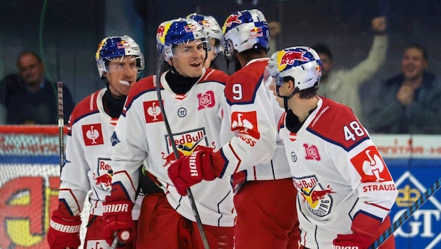 Die Eisbullen wollen auch gegen Asiago jubeln. (Bild: Tröster Andreas/Kronen Zeitung)