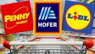 Hofer, Lidl und Penny locken Neustarter mit mehr Geld und vielen Extraleistungen an. (Bild: Krone KREATIV/stock.adobe.com)