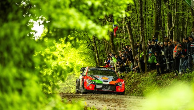 Thierry Neuville is currently leading the rally. (Bild: Jaanus Ree / Red Bull Content Pool)