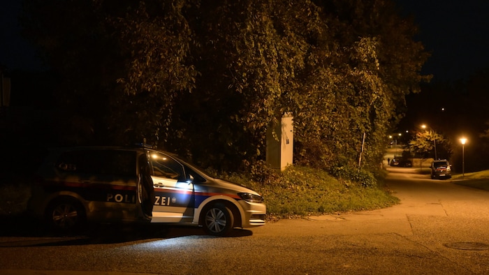 The streets in and around Zistersdorf were extensively searched. 