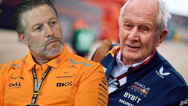 Zak Brown (left) was not very happy with Helmut Marko's comments. (Bild: APA/AFP/ANGELA WEISS, APA/BENJAMIN CREMEL)