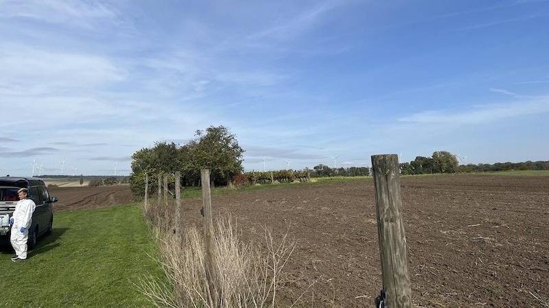 In this vineyard, he stabbed Barbara R. in cold blood. (Bild: Josef Poyer)