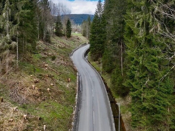 Hier verläuft der Radweg links der Straße, der Wald wurde schon gerodet.