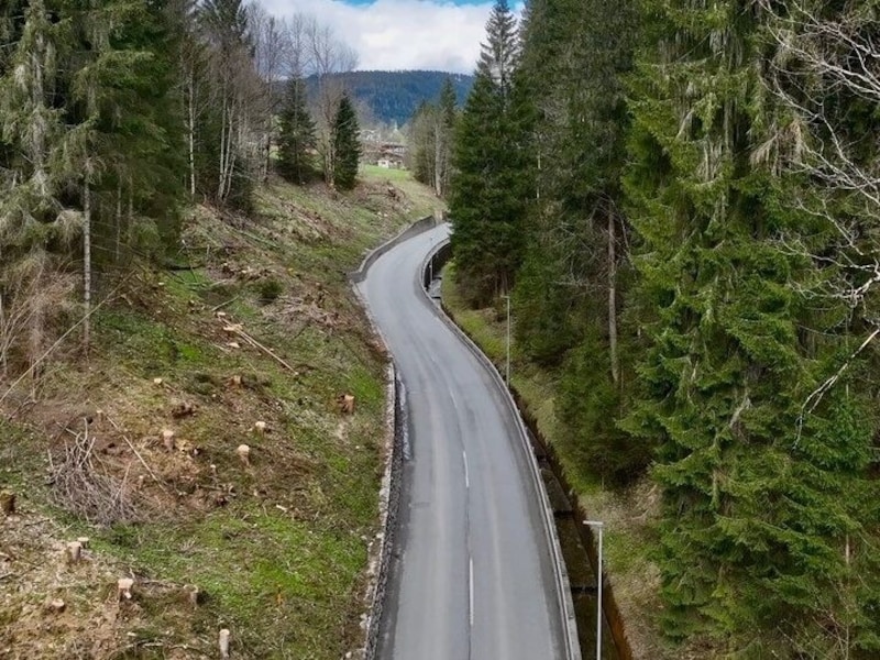 Hier verläuft der Radweg links der Straße, der Wald wurde schon gerodet. (Bild: Toni Silberberger)