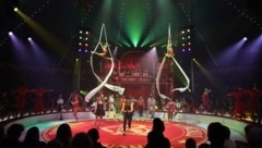 Die Manege des Circus Roncalli wurde zur bunten Bühne. (Bild: Birbaumer Christof)