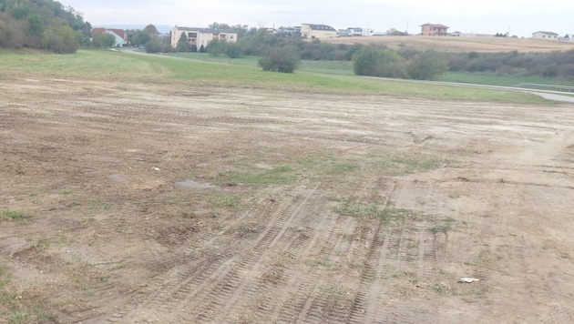 Normally everything blooms here. But now that the excavated material from the fire station has been stored on the meadow, it is currently a desert. (Bild: zVg)