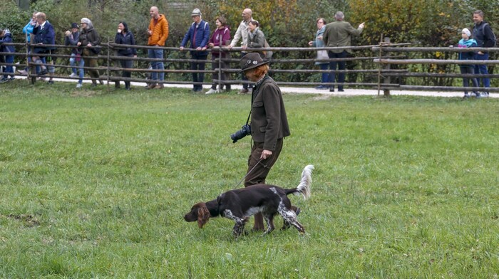 Hunting dog demonstrations also delighted visitors