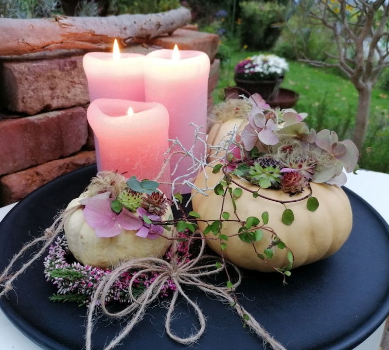 Small pumpkins in the right light (Bild: the.heartgarden/Patrizia Haslinger)