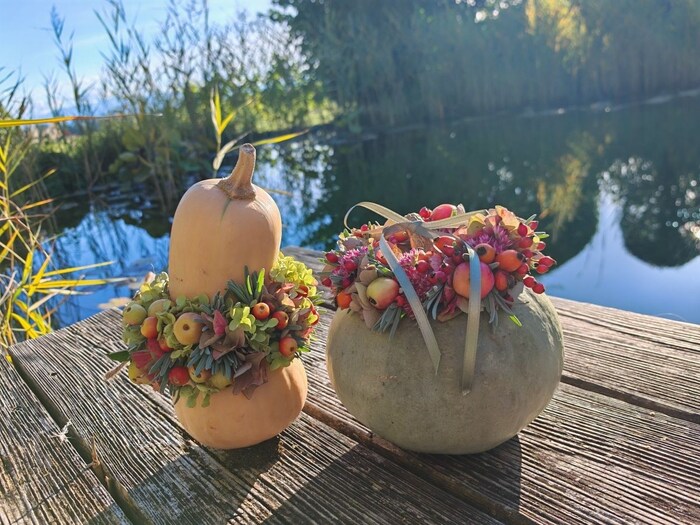 Wire can also be used to create a lot with pumpkins