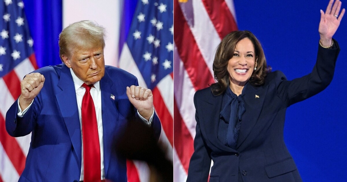 What do they stand for? Trump and Harris’ foreign policy under the microscope krone.at