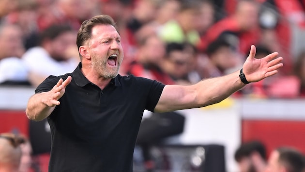 Ralph Hasenhüttl has to get his "Wolves" back on the road to success. (Bild: GEPA/GEPA pictures)