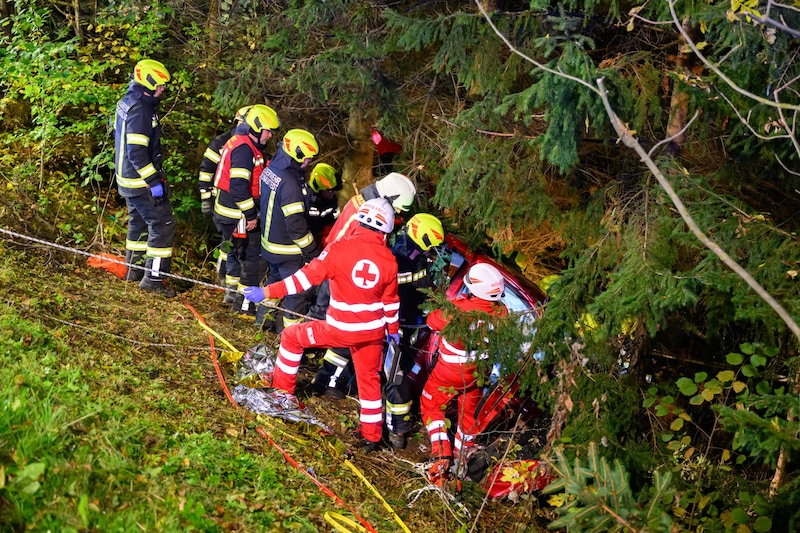 Die Bergung war nicht einfach (Bild: TEAM FOTOKERSCHI / KERSCHBAUMMAYR)