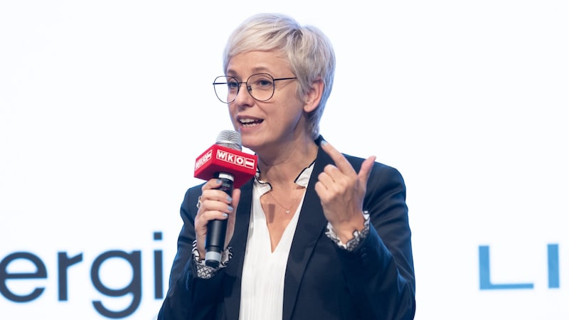 „Ich glaube, wir müssen mit einer gewissen Objektivität und Gelassenheit an das Thema herangehen“, sagt Doris Hummer, Präsidentin der Wirtschaftskammer OÖ. (Bild: cityfoto.at/Roland Pelzl)