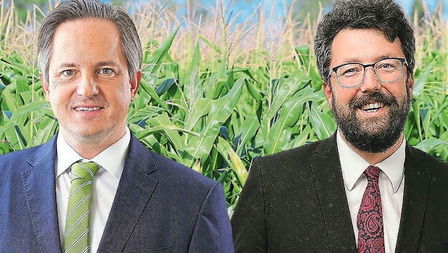 Sind offensichtlich geteilter Meinung über moderne Landwirtschaft: Johannes Schmuckenschlager (li.) und Harald Ludwig. (Bild: Krone KREATIV/Patrick Huber, Philipp Monihart, SPÖ St. Pölten)