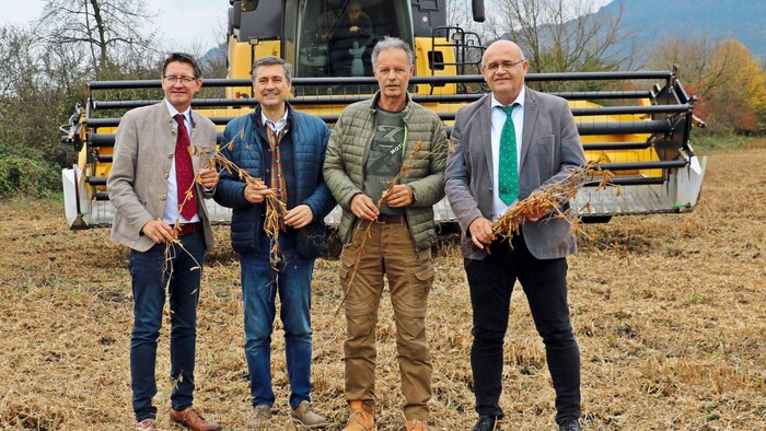 Huber, Kreschischnig, Brunner and Roscher took stock of the Carinthian harvest year.