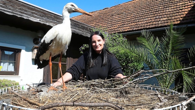 Angelika Meister can often be found in Tillmitsch, where she also raises people's awareness of nature (Bild: Radspieler Jürgen/Juergen RadspielerJürgen Radspieler)