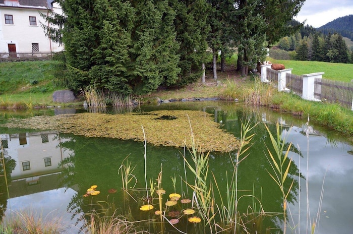 Im eigenen Schwimmteich kann gebadet werden.