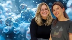 Die Forschungsarbeit der Grazer Naturwissenschafterinnen Lena Bauernhofer (li.) und Ariane Pessentheiner könnte künftig wirklich passende, individuelle Therapie ermöglichen. (Bild: Krone KREATIV/stock.adobe.com/Pessentheiner/Carolyn Vargas/Tzvianopoulos)