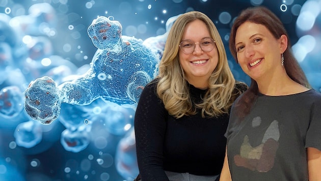 The research work of Graz-based scientists Lena Bauernhofer (left) and Ariane Pessentheiner could make truly suitable, individualized therapy possible in the future. (Bild: Krone KREATIV/stock.adobe.com/Pessentheiner/Carolyn Vargas/Tzvianopoulos)