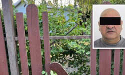Kleingarten-Mord in Wien: Der Täter sollte gar nicht im Land sein.