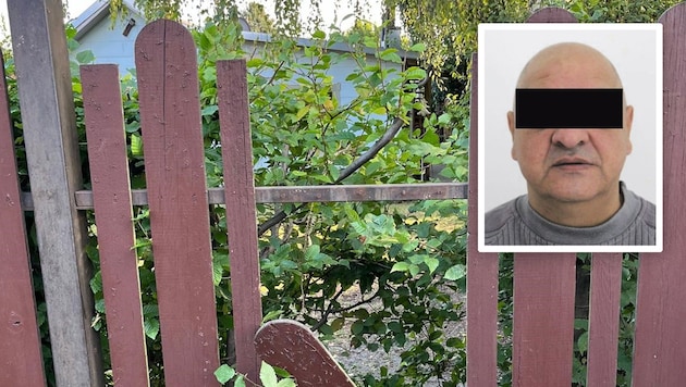 Allotment garden murder in Vienna: The perpetrator was not even supposed to be in the country. (Bild: Krone KREATIV/Sandra Ramsauer LPD Wien)