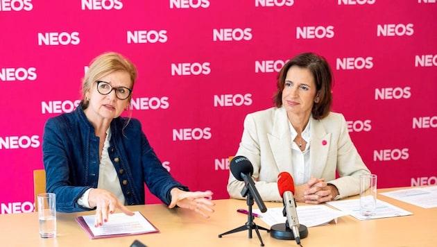 Kritisierten die Landesgesundheitsagentur, aber auch die SPÖ: Kollermann, Collini von den Neos. (Bild: Neos NÖ)