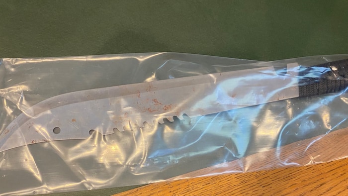 The victim's blood was still on the murder weapon.