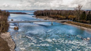 Das Land übernimmt künftig Monitoring und Überwachung am Bregenzer Seeufer und den Bereichen dahinter. (Bild: Stiplovsek Dietmar)