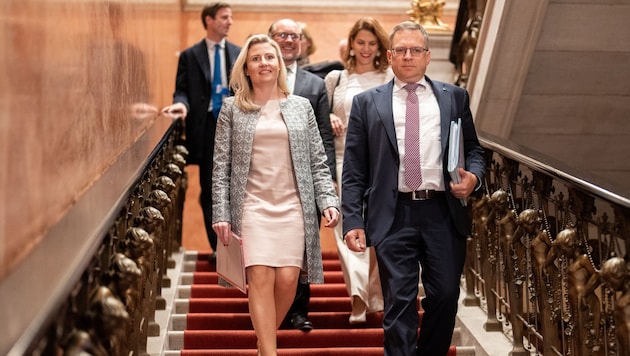 Even before a future government is found, the parliamentary parties are positioning themselves with the first appointments. (Bild: APA/GEORG HOCHMUTH)