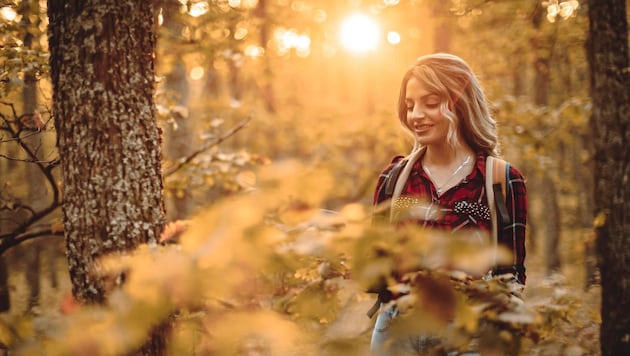 It's getting more and more colorful! Clear air, soft light, a colorful landscape. It smells of chestnuts, acorns, mushrooms and moss. The forest, a feast for the senses. (Bild: Getty Images)