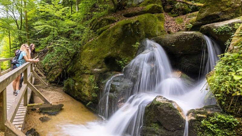 Zahlreiche Sagen und Mythen ranken sich um die wildromantische Wolfsschlucht. Die knapp drei Kilometer lange Klamm des Kasmüllerbachs liegt im Bezirk Perg. (Bild: Tourismusverband Donau Oberösterreich Kuscheiart)