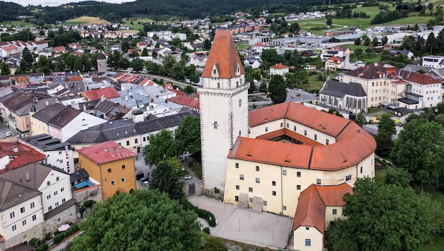 In Freistadt sorgt der Rauswurf der Geschäftsführerin des Vereins „Mühlviertler Kernland“ für Diskussionsstoff.  (Bild: Horst Einöder/Flashpictures)