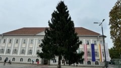 In der Kärntner Landeshauptstadt steht der Christbaum schon.  (Bild: Evelyn Hronek)