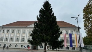 In der Kärntner Landeshauptstadt steht der Christbaum schon. 