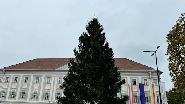 In der Kärntner Landeshauptstadt steht der Christbaum schon.  (Bild: Evelyn Hronek)