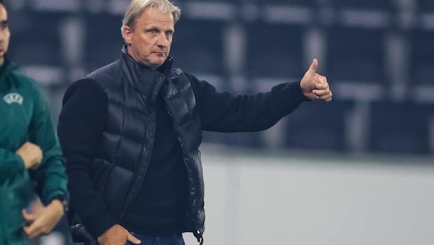 LASK coach Markus Schopp (Bild: GEPA pictures/ Manuel Binder)