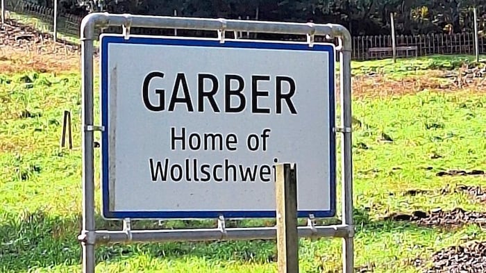 In Garber gibt es auch Wollschweine, die hier ein Zuhause gefunden haben, zu sehen.