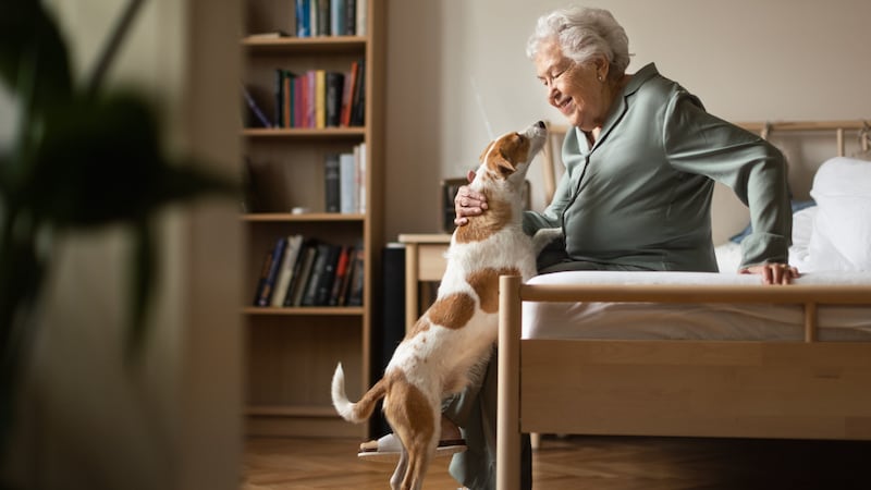 Kuscheln tut der Seele gut, denn Tiere wirken sich positiv auf unsere Psyche aus.  (Bild: stock.adobe.com/Halfpoint - stock.adobe.com)