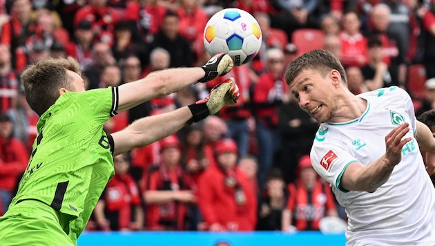 Can Werder Bremen prevail at home against Bayer Leverkusen? (Bild: AFP/APA/INA FASSBENDER)