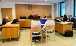 Rabeneltern vor Gericht: Wobei Raben fürsorgliche Vögel sind, die ihre Jungen beschützen – doch ...