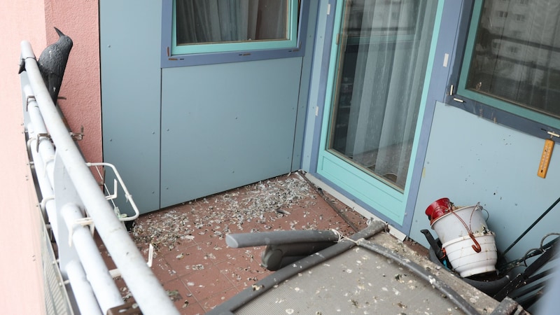 The contamination caused by pigeon droppings is almost impossible to control. (Bild: Zwefo)