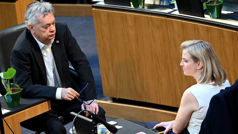 Grünen-Chef Werner Kogler und NEOS-Chefin Beate Meinl-Reisinger hoffen, dass ihre Partei zum Zug kommt. (Bild: APA Pool/APA/ROLAND SCHLAGER)