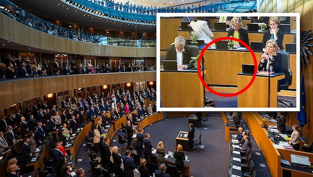 Separated in the front row: there is now a large gap in the National Council between Green Party leader Werner Kogler and NEOS leader Beate Meinl-Reisinger (see picture top right). (Bild: Krone KREATIV/APA, Screenshot/ORF)