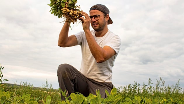 The quality is right: However, numerous series of tests with this unusual plant were required before this could happen. (Bild: neuland.bio)