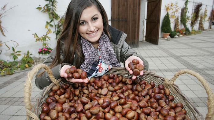 Zum 29. Mal findet das Kastanienfest am 26. Oktober in Klostermarienberg statt.