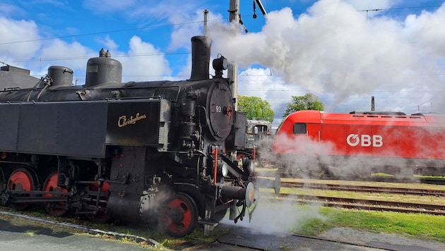 The steam locomotive "Christophorus" is put into hibernation. One last run will be made at the station site this year. (Bild: Waldviertler Eisenbahnmuseum)