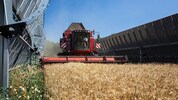 Im Energiefeld in Pischelsdorf wird zwischen den Paneelen Landwirtschaft betrieben
